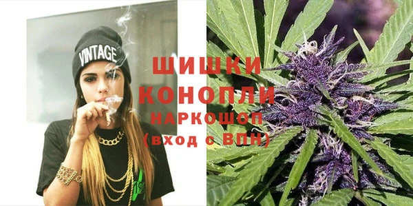apvp Осташков