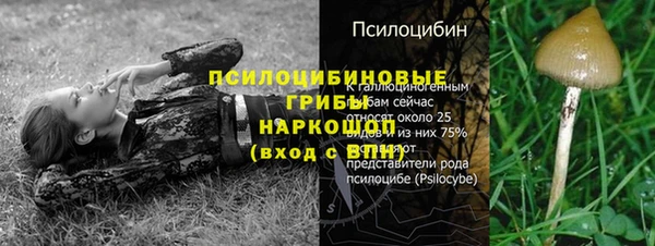 прущая мука Осинники