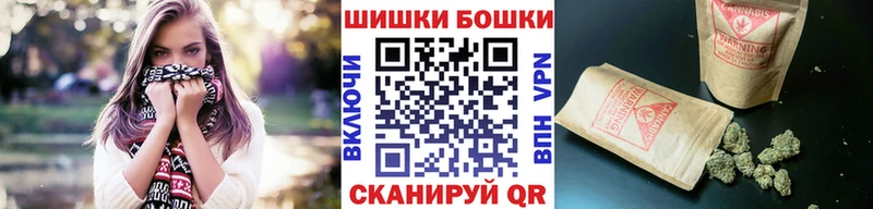 Канабис OG Kush  цены   Салехард 